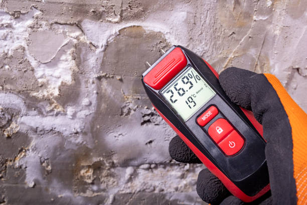 Best Best Mold Removal Companies  in Groveland, ID